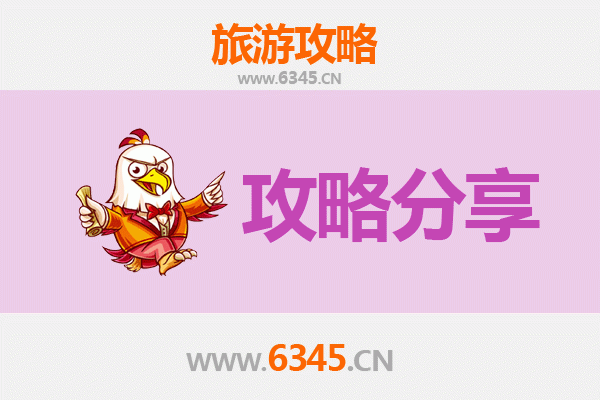 淮北杜集旅游攻略：跟团与自由行深度对比